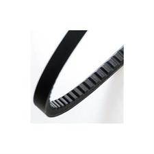 CINGHIA TRAP.AX 25