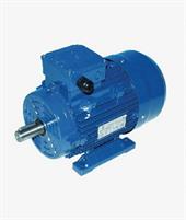 MOTORE MONOFASE CV.1 2P B3 KW 0,75 GR.80