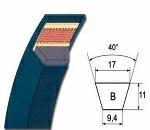 CINGHIA TRAP. B 219