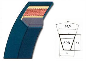 CINGHIA TRAP.SPB 1900