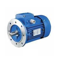 MOTORE MONOF.CV 0,25 2P B5 KW 0,18